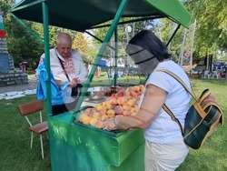 Село Гавраилово - празник "Златна праскова"