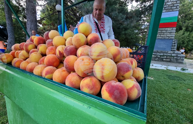 Село Гавраилово - празник "Златна праскова"