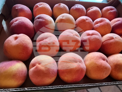 Село Гавраилово - празник "Златна праскова"