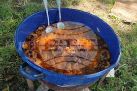 Село Гавраилово - празник "Златна праскова"