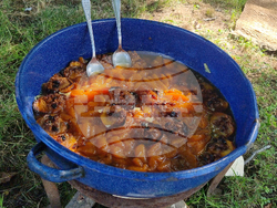 Село Гавраилово - празник "Златна праскова"