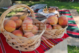 Село Гавраилово - празник "Златна праскова"