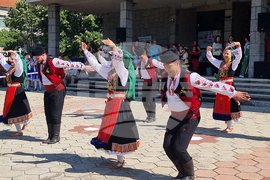 Село Гавраилово - празник "Златна праскова"