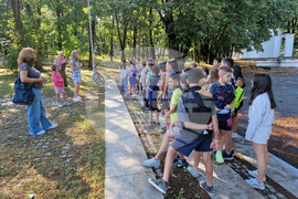 Разград - детска академия - безопасност