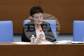 Парламент - заседание - Людмила Петкова