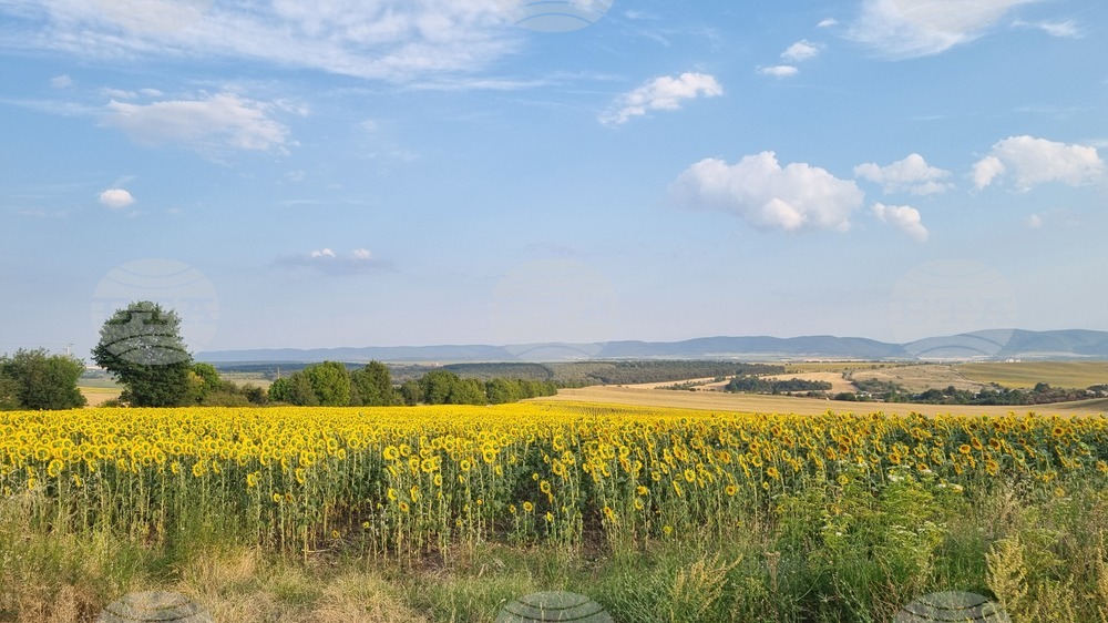 Прогноза за времето