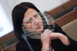 Народно събрание - Временна комисия - Ивелин Михайлов - „Исторически парк“ - заседание