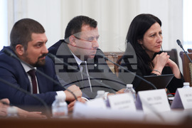 Народно събрание - Временна комисия - Ивелин Михайлов - „Исторически парк“ - заседание