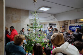 Ловеч - Областна администрация - коледна елха