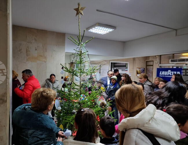 Ловеч - Областна администрация - коледна елха