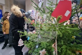 Ловеч - Областна администрация - коледна елха