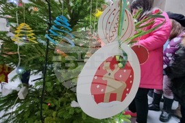 Ловеч - Областна администрация - коледна елха