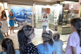 Благоевград - музей - обновена експозиция