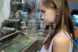 Благоевград - музей - обновена експозиция