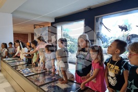 Благоевград - музей - обновена експозиция