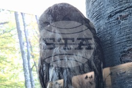 Благоевград - музей - обновена експозиция