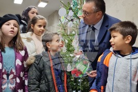 Ловеч - Областна администрация - коледна елха