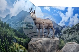 Благоевград - музей - обновена експозиция