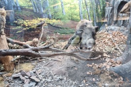 Благоевград - музей - обновена експозиция