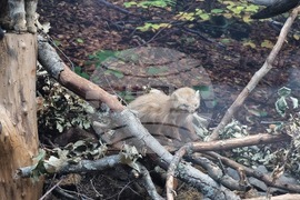 Благоевград - музей - обновена експозиция