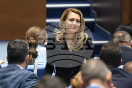 Парламент - заседание