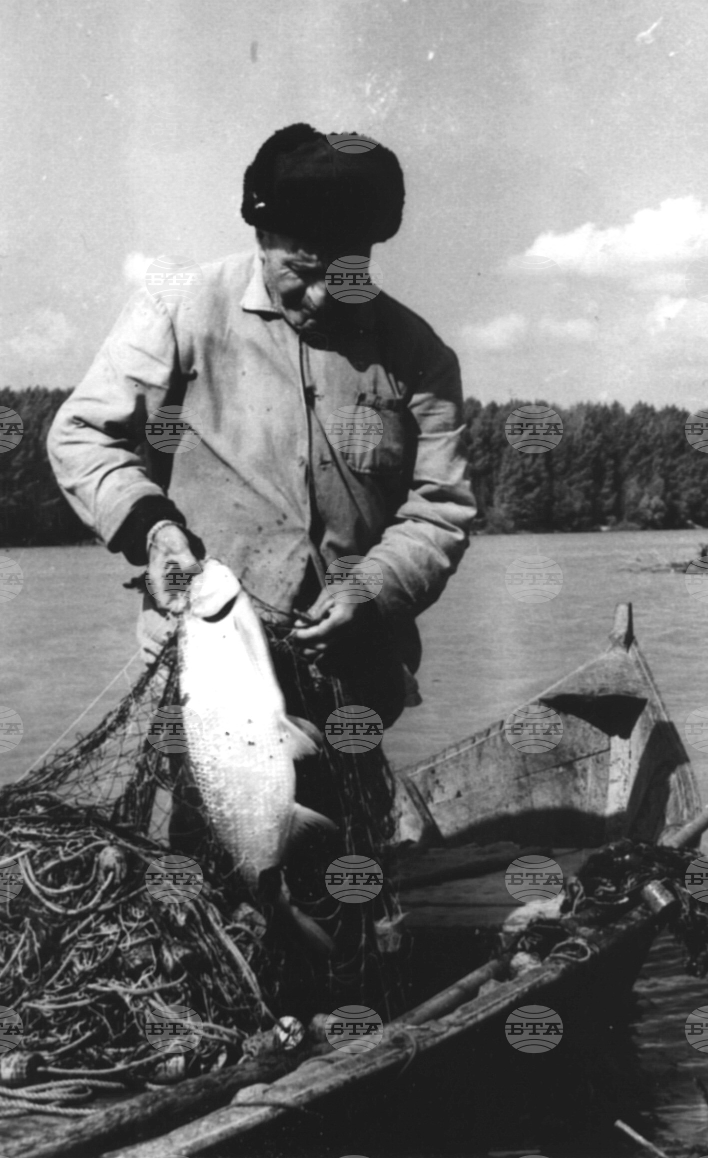 Видин - Никулден