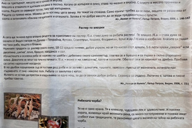 Видин - Никулден