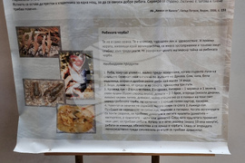 Видин - Никулден