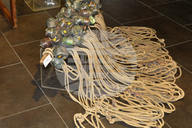 Видин - Никулден - експозиция