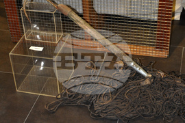 Видин - Никулден