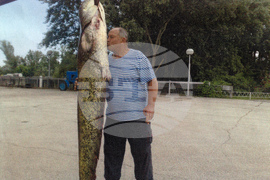 Видин - Никулден