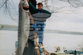 Видин - Никулден