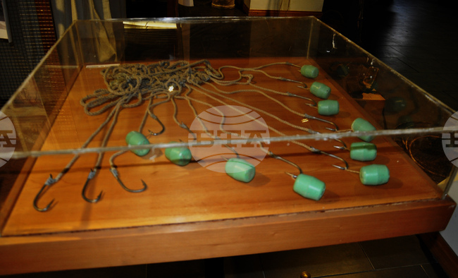 Видин - Никулден - експозиция