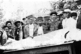 Видин - Никулден