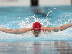 Paris Olympics Swimming