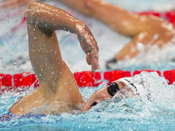 Paris Olympics Swimming