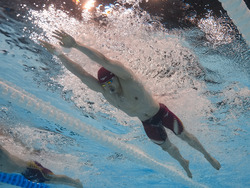 Paris Olympics Swimming