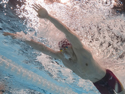 Paris Olympics Swimming