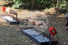 Котел - Фестивал на етносите, багрите и котленския килим