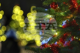 Коледна украса - Елхи на таланта