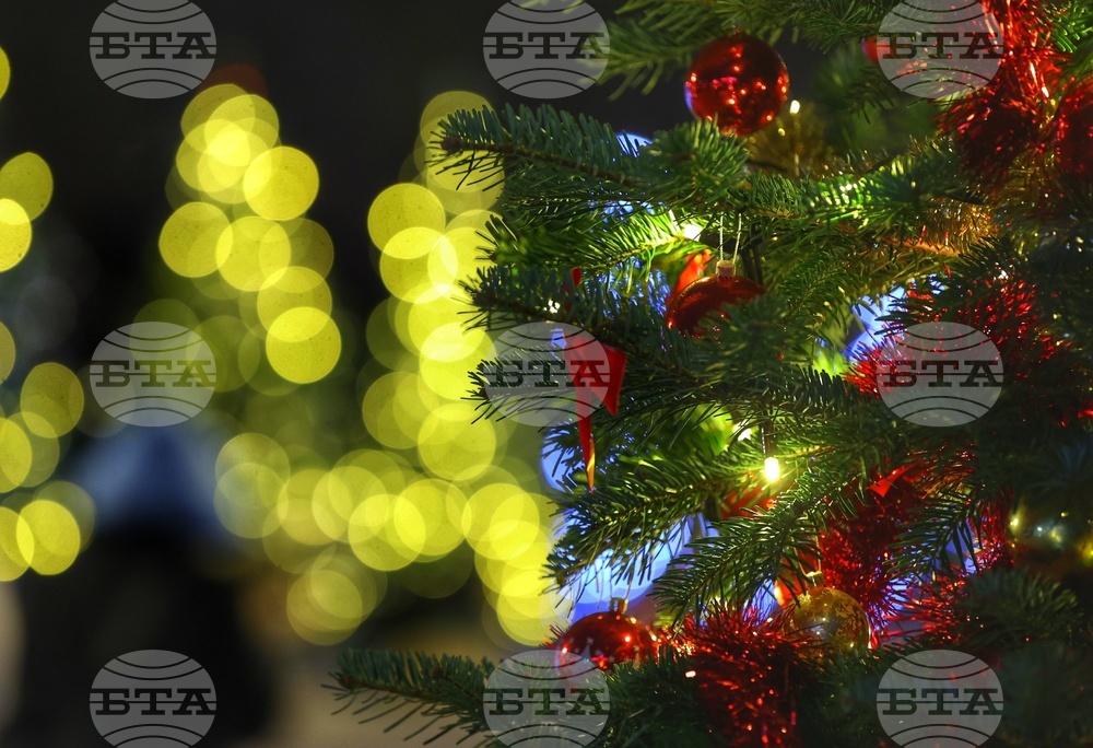 Коледна украса - Елхи на таланта