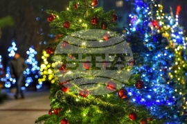 Коледна украса - Елхи на таланта