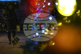 Коледна украса - Елхи на таланта