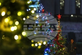 Коледна украса - Елхи на таланта