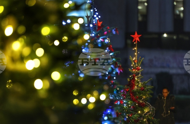 Коледна украса - Елхи на таланта