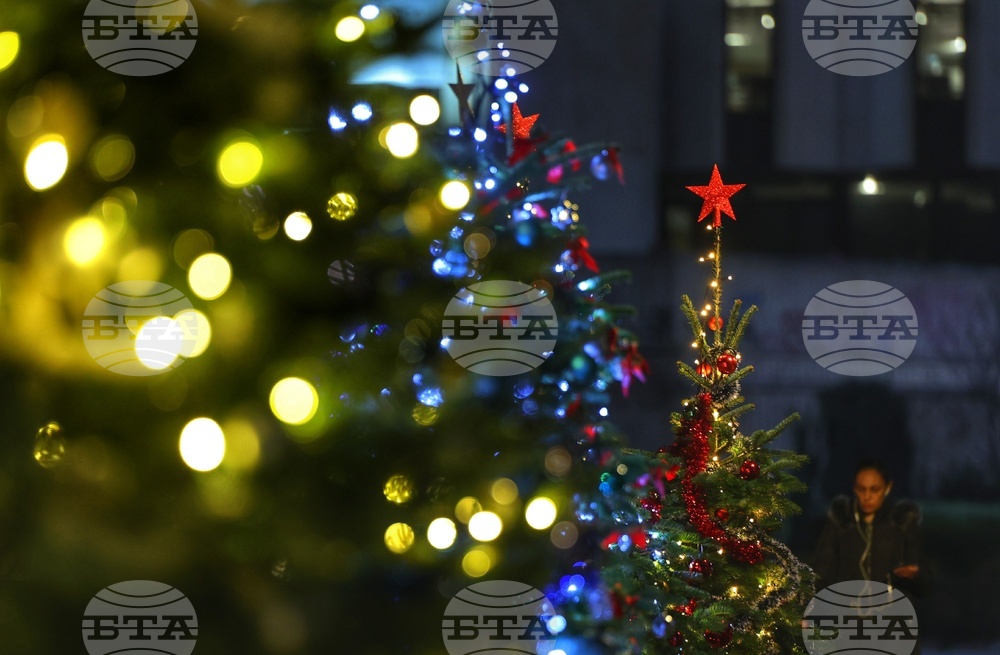 Коледна украса - Елхи на таланта