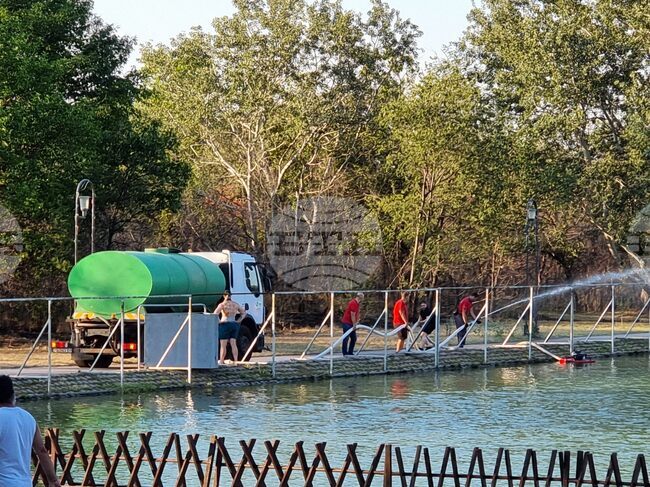 Пожар гори в района на Гребната база в Пловдив