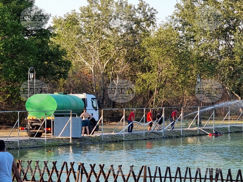 Пожар гори в района на Гребната база в Пловдив