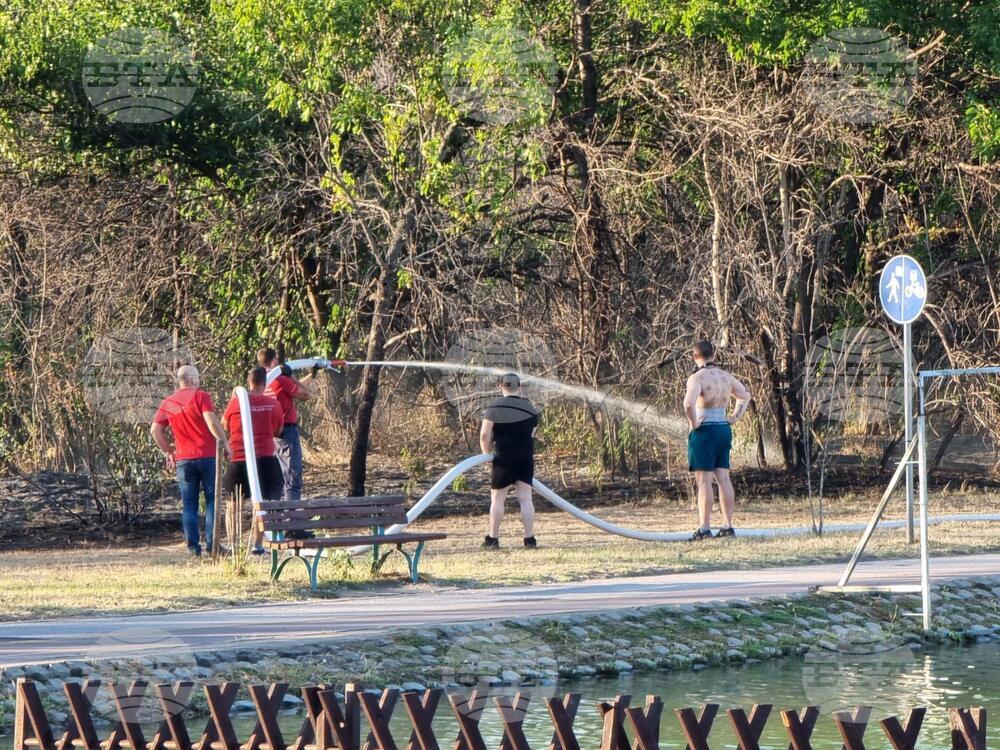 Пожар гори в района на Гребната база в Пловдив