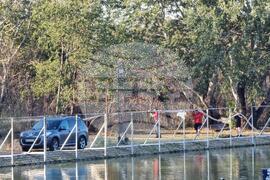 Пожар гори в района на Гребната база в Пловдив